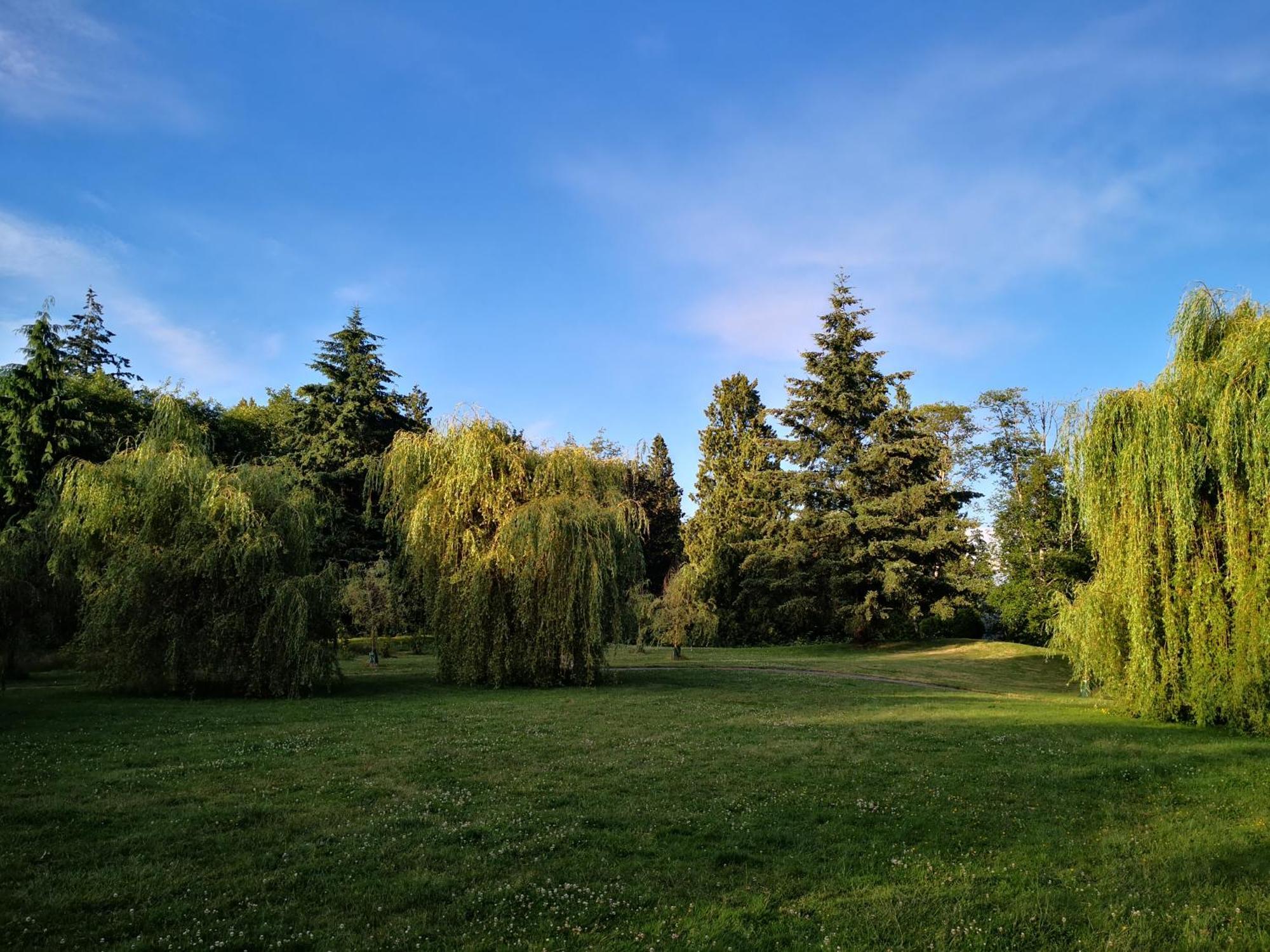Entire Forest Home Near Nature & Amenities Surrey Extérieur photo